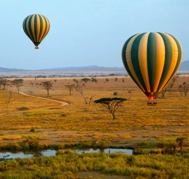 Balloon Safari view