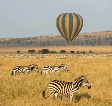 Balloon Safari view