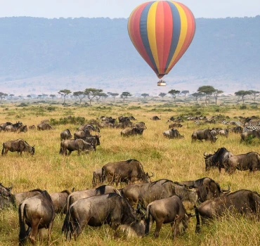 Balloon Safari view