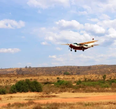 fly in out safari view