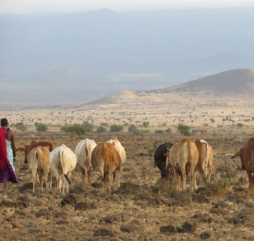 maasai culture view